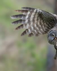 Darren Hebert (@darren_w_hebert) • Instagram photos and videos