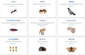 Ultrasonic pest control fogging machine pest control bird repeller with remote control bird control rain the sense of smell type of birds is relatively more in the currently known birds. Pest Destroy Pest Destroy Twitter