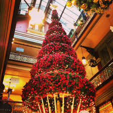 Installation piece for sunstudios australia sydney. A Christmas Themed Tour Of Sydney Sydney