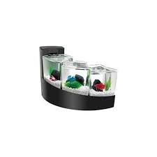 Simply add décor such as gravel, rocks, pebbles, colorful gem stones, or small plants to bring your personal touch. Buy Aqueon Products Glass Aqueon Kit Betta Falls Black 2 Gallon 01218 In Cheap Price On Alibaba Com