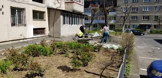 Se poate vinde terminalul pentru petrol. PrimÄria InvesteÈte Bani FÄrÄ Acte Legale Concret Bani Publici Pe Terenuri Private Timpul De Valcea