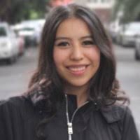 800+ "Baylon" profiles