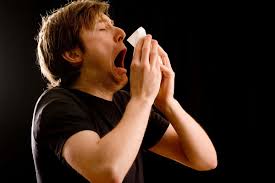 Usually, the virus is spread through the air from coughs or sneezes. Achoo Why Do Some People Sneeze So Many Times New Scientist