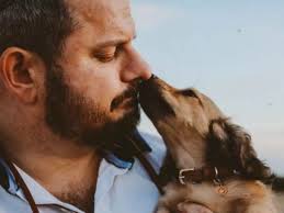 Guardian angel' puppy heroically helps owner battle PTSD and anxiety