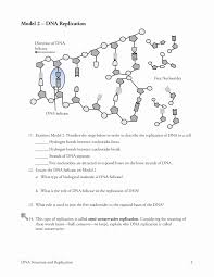 From o.quizlet.com learn vocabulary, terms, and more with flashcards, games, and other study tools. Dna Structure And Replication Worksheet Dna Structure And Replication Worksheet Dna Replication What Is The First Step In The Process Of Dna Replication Kumpulan Alamat Grapari Telkomsel Dan Alamat Bank