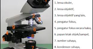 Sebuah mikroskop memiliki lensa objektif dan lensa okuler dengan besar fokus objektif 2 cm, besar a. Contoh Soal Tentang Pembesaran Miskroskop