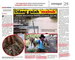 Orang melayu merupakan kaum majoriti, yang mewakili 61.5 peratus daripada keseluruhan penduduk. Jabatan Perikanan Pejabat Perikanan Negeri Sembilan Facebook