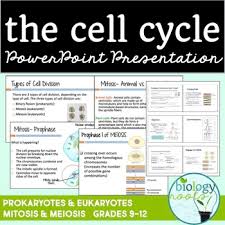 It might interest you to know that not all cells come with a nucleus. Pin On Products