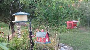 It's also strong enough to support hanging flower baskets, yard decorations, and insect repellents. 8 Easy Ways To Landscape Under Bird Feeders Dengarden