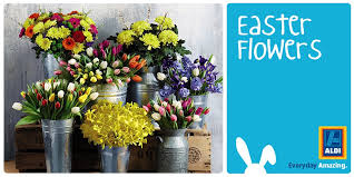 6.) you like playing the marketing games of other grocery stores. Aldi Stores Uk On Twitter You Have The Pick Of The Bunch With Our Easter Flowers In Store Right Now And Starting From Just 95p Aldieverydayamazing Https T Co Tnr8s6unes