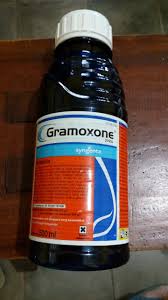 Nak semak aku ni kaki auta atau tidak. Jual Herbisida Racun Rumput Gramoxone 500ml Sentratani Com