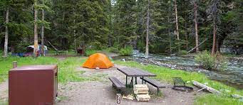 Do any campgrounds in yellowstone have electricity. Camping Gardiner Montana