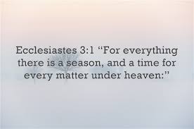 Top 7 Bible Verses To Share With Unbelievers Karla Hawkins