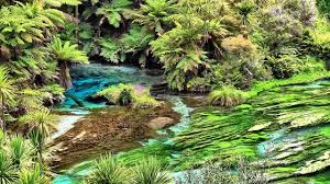 The service i received was wonderful. Nature Sounds Relaxing Forest With New Zealand Bird Songs 3 Hours Youtube