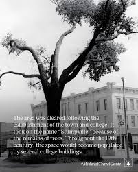 Image result for Gray 1961 Tappan