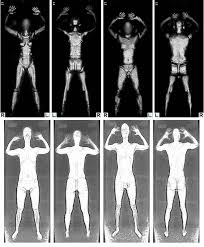 Image result for tsa scanner
