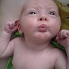 brody barton (@brodykb)