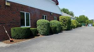 G&h landscaping has been providing custom lawn care, landscaping and irrigation services throughout the greater springfield, northampton areas since 1974. G Norwood Landscape Management Home Facebook