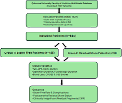 Image result for STONE Score