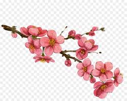 Cherry Blossom Background Png Download 2254 1765 Free Transparent South Korea Png Download Cleanpng Kisspng If you like this backgrounds you can use in your presentation slides. cherry blossom background png download