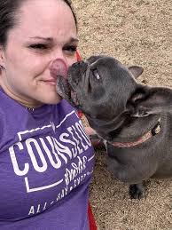 Heartbroken : r/Frenchbulldogs