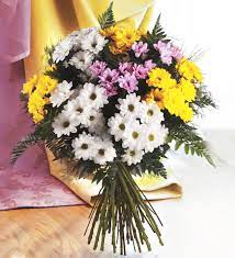 Maybe you would like to learn more about one of these? Colourful Daisy Bouquet Bouquets Of Daisies Delivered Free