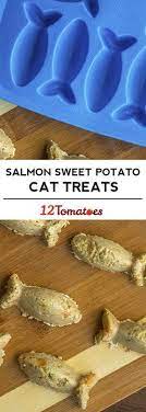 Salmon And Sweet Potato Cat Treats Dog Food Recipes Homemade Cat Food Cat Treats Homemade