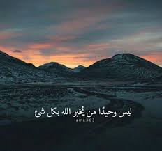 لست وحيدة Islamic Inspirational Quotes Cover Photo Quotes Islam Facts
