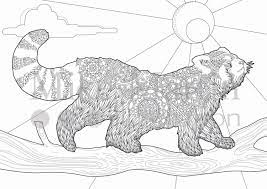 You can use our amazing online tool to color and edit the following red panda coloring pages. Red Panda Coloring Page Coloring Home