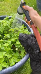 Katherine Bernabe 🐘 (@figuringout.kat) • Instagram photos and videos