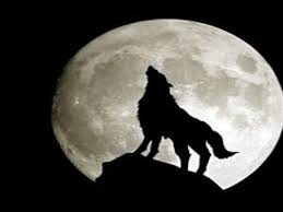 Ps4 wallpapers that look great on your playstation 4 dashboard. Naruto Shippuden Ultimate Ninja Storm 3 Full Burst Part 2 Ps4 Broadcast Youtube Wolf Wallpaper Wolf Images Wolf Moon