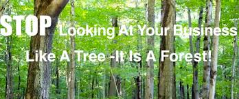 (there's a lot of trees here. vs. Can T See The Forest For The Trees What Is Astuteness
