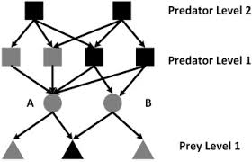 Image result for Blepharis acanthodioides
