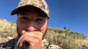 Searching for Cows: A Comedic Outdoor Adventure