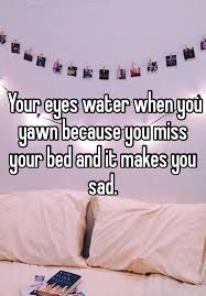 Pin On Funnies