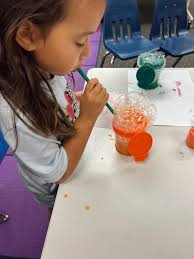 Lovejoy Independent School District