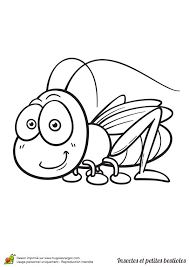 Page 229 Sur 244 Sur Hugolescargot Com Coloriage Insectes Coloriage Coloriage Papillon