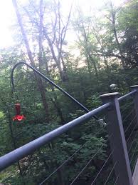 Bird Feeder Pole For Deck Railing Bird Feeder With Flag Pole Bracket Flag Pole Bracket Bird Feeders Flag Pole Holder