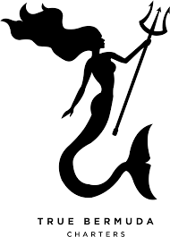 Mermaid Silhouette Png Mermaid Silhouette Png 1267344 Vippng Little mermaid silhouette png image with transparent background., free portable network graphics (png) archive. mermaid silhouette png mermaid