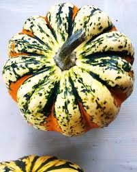 Image result for carnival acorn squash