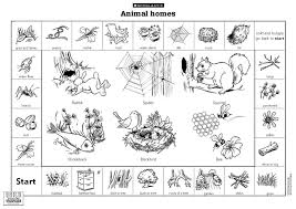Lai Mooi Keow D20102042511 Animals Animals That Hibernate Animal Coloring Pages Animal Coverings