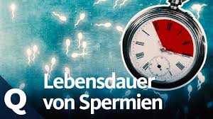 Ejakulat So Lange Uberleben Spermien Ausserhalb Des Korpers Quarks Youtube