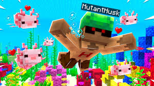 Minecraft players participating in the game's bedrock beta can download an update that adds a new type of block and species, as well as addresses bugs like underwater visibility and character modeling. Axolotl Mob In Minecraft Bedrock Edition Mcpe 1 17 0 Addons Youtube