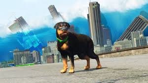 Girl, of course i saved that poor boy's life. Gta 5 Playing As Chop In A Natural Disaster Meteors Tsunami More Youtube