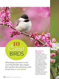 Birds Blooms Magazine 10 Cutest Birds From Birds Blooms Feb Mar 2019 Read It On The Texture App Unlimited Access To 200 Top Magazines Sitting In A Tree Cute Birds