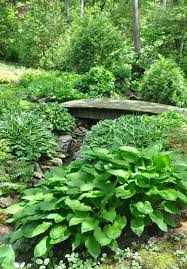 An Asian Inspired Garden Part 2 The Backyard With Images Asian Garden Shade Garden Woodland Garden