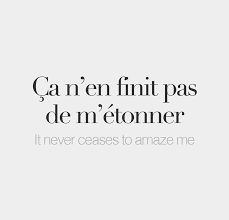 Esto No Termina De Sorprenderme Frases En Frances Traducidas Palabras Francesas Frases En Frances
