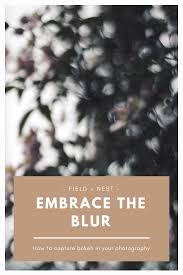 Embrace The Blur Field And Nest