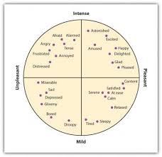 Emotional Health Understanding Our Primary Secondary