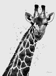 Check spelling or type a new query. Giraffe Black And White Pictures